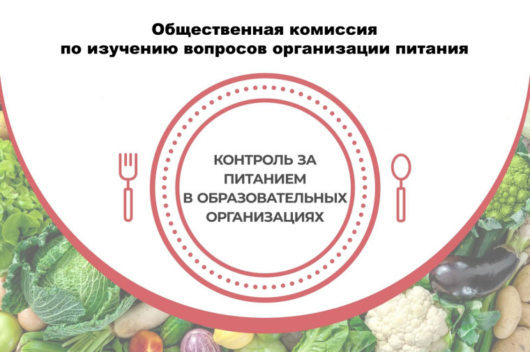 Общественный контроль организации питания.